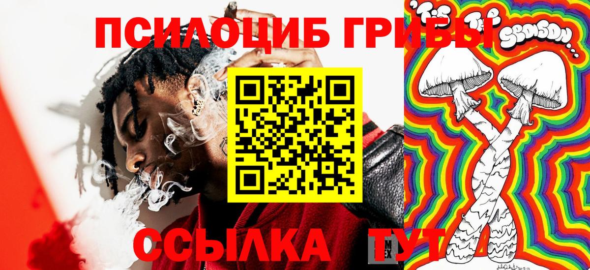 Галлюциногенные грибы ЛСД Северобайкальск