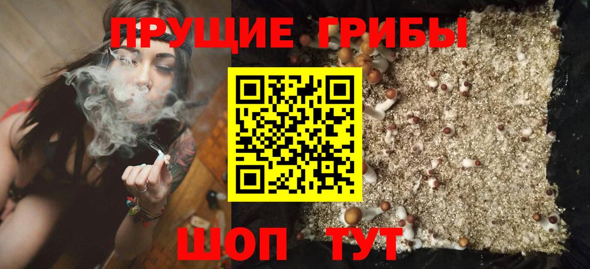 Псилоцибиновые грибы Psilocybine cubensis  хочу   Вход с VPN  Северобайкальск  Псилоцибиновые грибы Psilocybe 